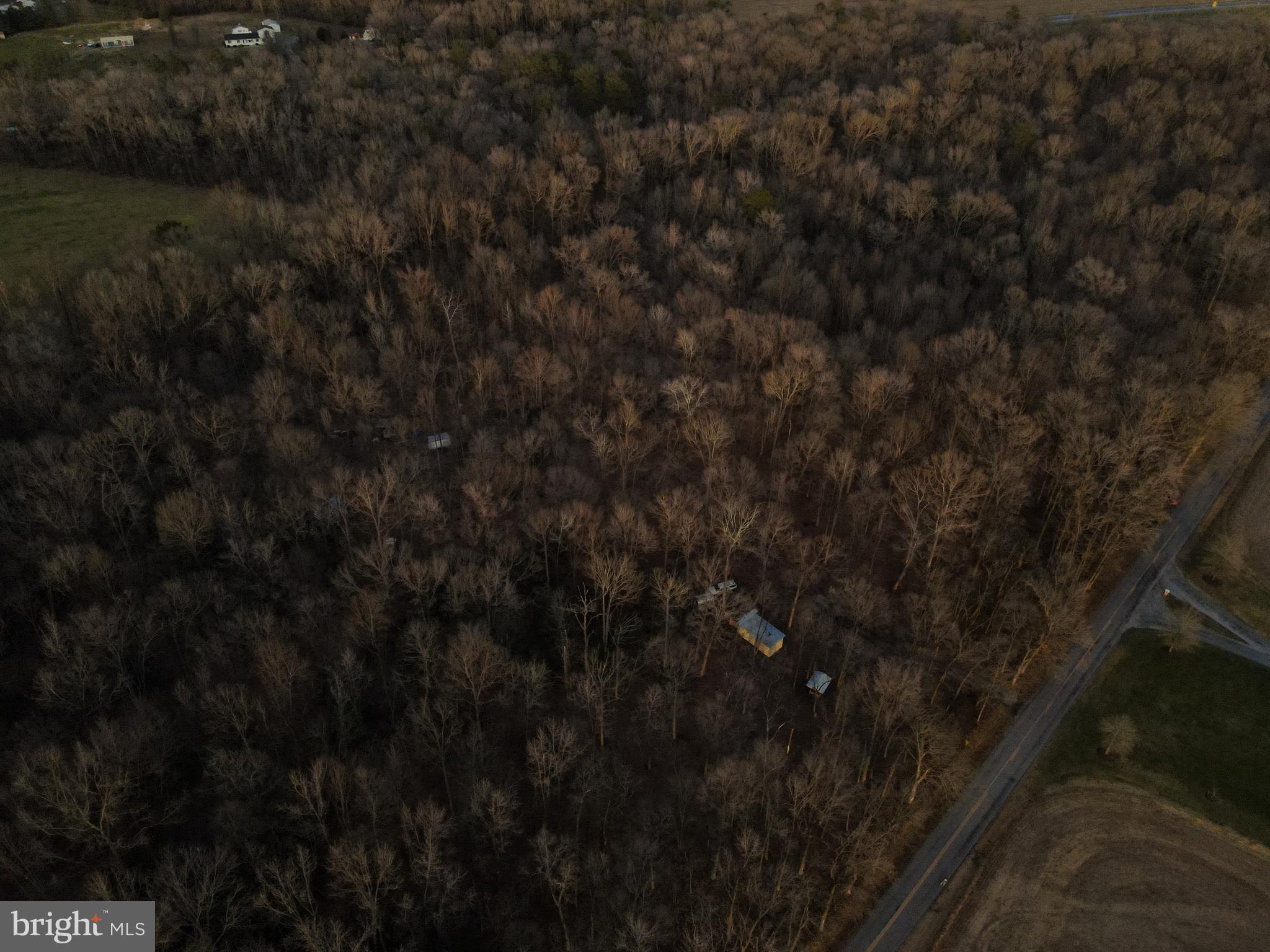 1 Hignutt Road Denton, MD 21629 - Photo 7 of 9