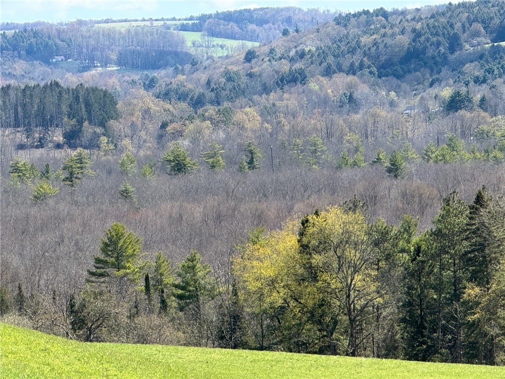 3010 Kelly Road Brookfield, NY 13355 - Photo 19 of 45