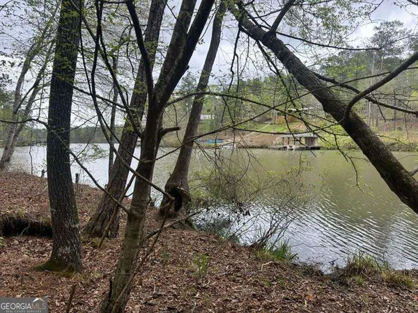 a view of yard along with trees