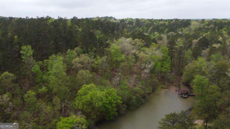 Lot #3 Frontier Shores Road Sparta, GA 31087 - Photo 2 of 10 an aerial view of a house with a yard