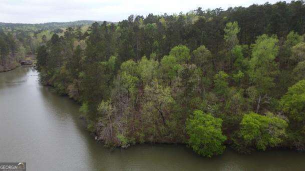 Lot #3 Frontier Shores Road Sparta, GA 31087 - Photo 3 of 10 a view of a lot of trees and bushes