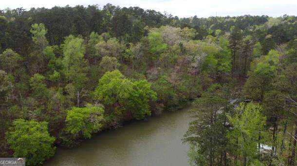 Lot #3 Frontier Shores Road Sparta, GA 31087 - Photo 8 of 10 an aerial view of a houses with a forest