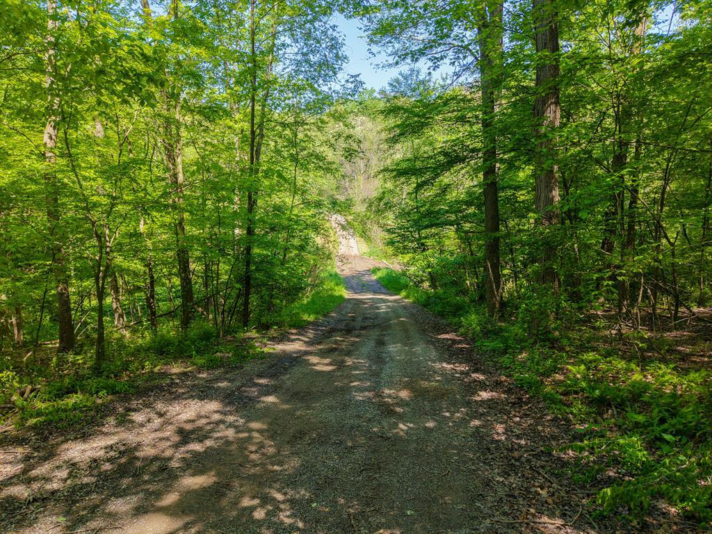 637 American School Road Harmony, PA 16037 - Photo 6 of 21