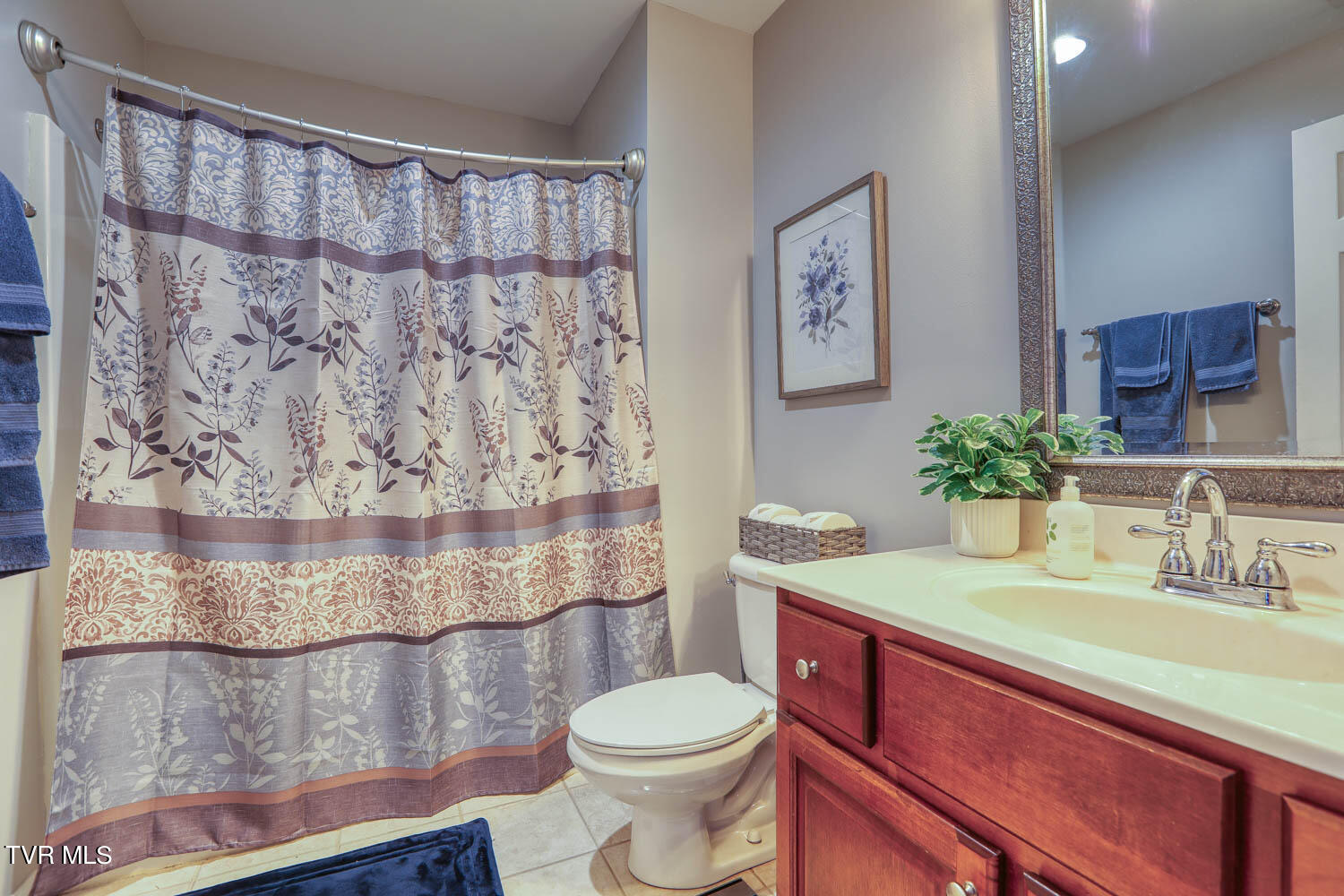 1709 Cherokee Road, Unit 301 Johnson City, TN 37604 - Photo 23 of 48 Lange. 1709 Cherokee. JC MLSb (21 of 37)
