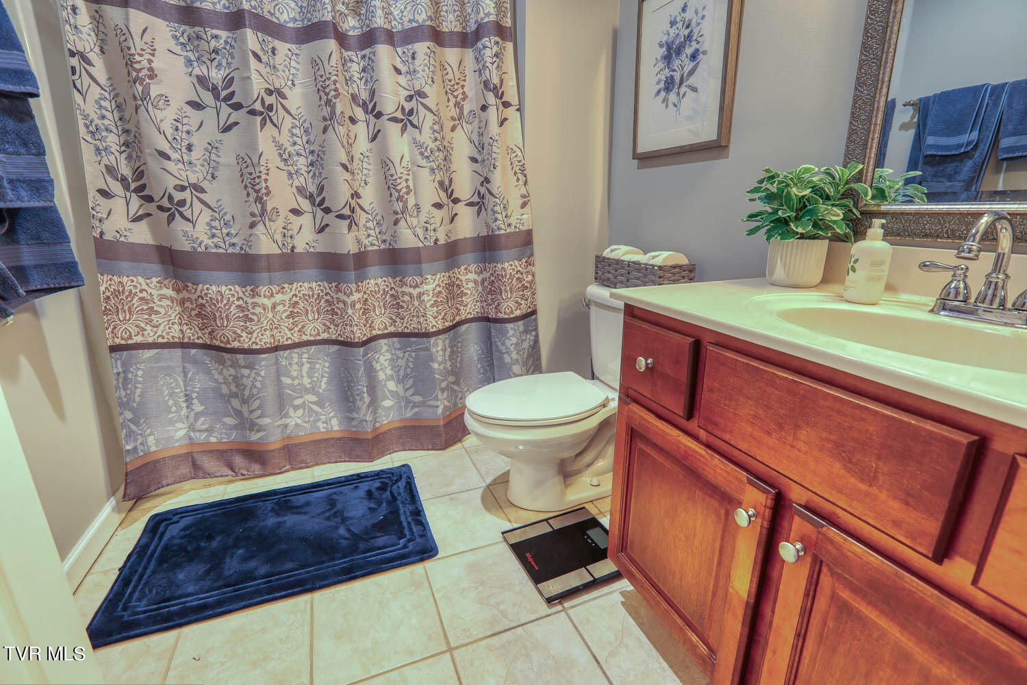 1709 Cherokee Road, Unit 301 Johnson City, TN 37604 - Photo 24 of 48 Lange. 1709 Cherokee. JC MLSb (22 of 37)