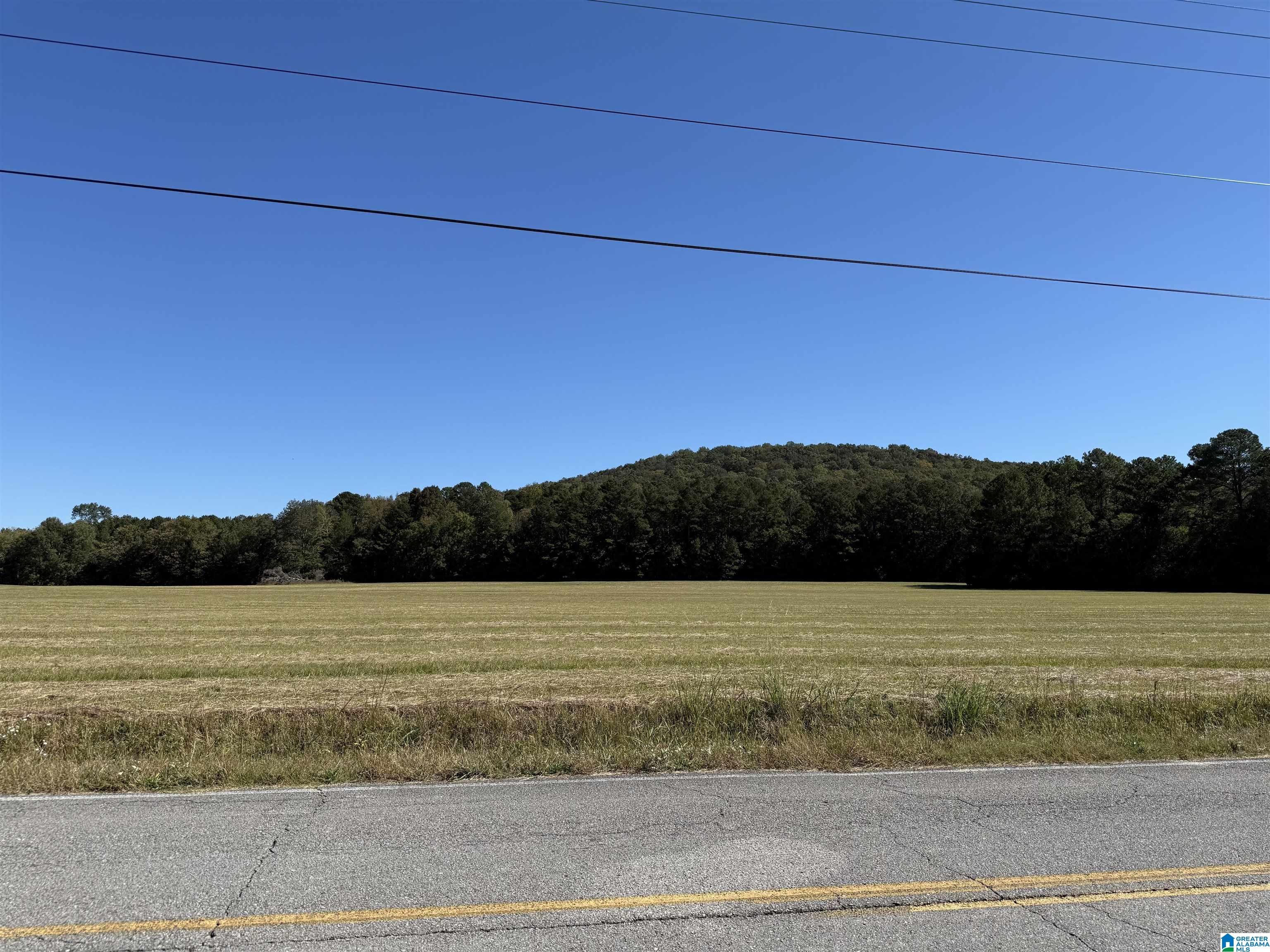 0 Old Six Mile Road, Unit 103 Somerville, AL 35670 - Photo 3 of 17