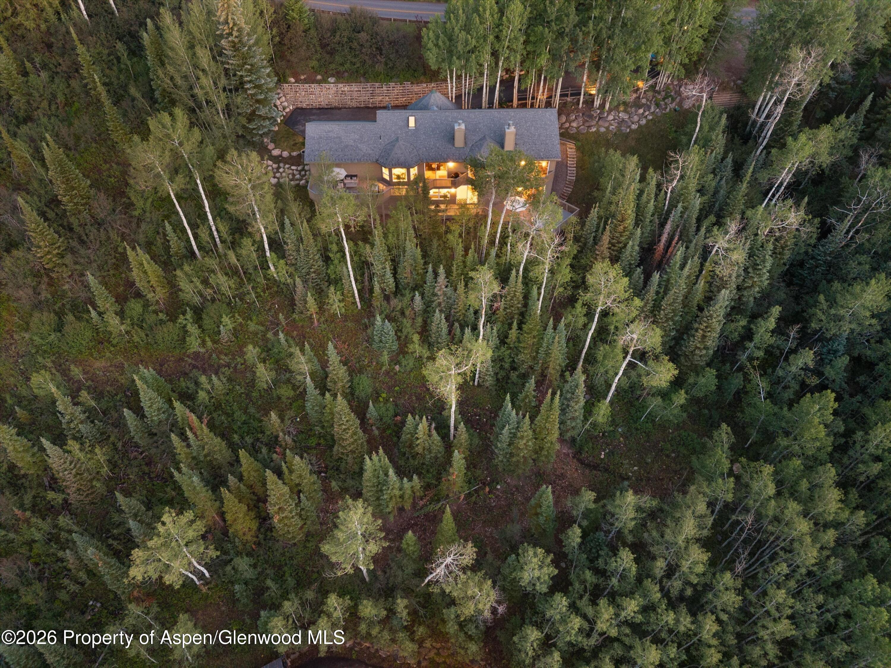 352 Faraway Road Snowmass Village, CO 81615 - Photo 48 of 48 Exterior Lot View