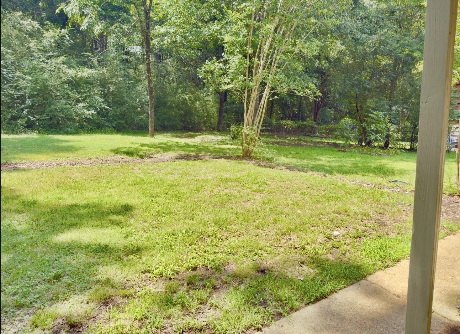 379 Dove Valley Road Collierville, TN 38017 - Photo 15 of 15