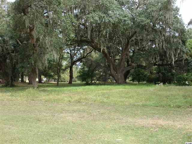 Lot 1 Flagg Street Murrells Inlet, SC 29576 - Photo 2 of 9