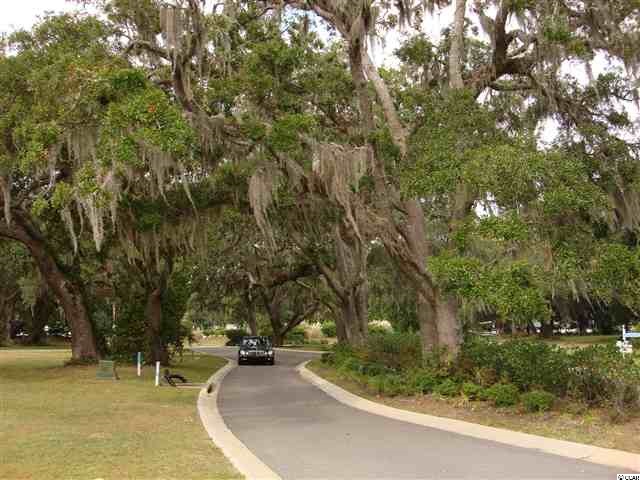Lot 1 Flagg Street Murrells Inlet, SC 29576 - Photo 4 of 9