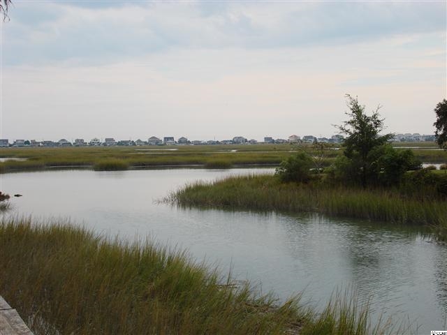 Lot 1 Flagg Street Murrells Inlet, SC 29576 - Photo 6 of 9