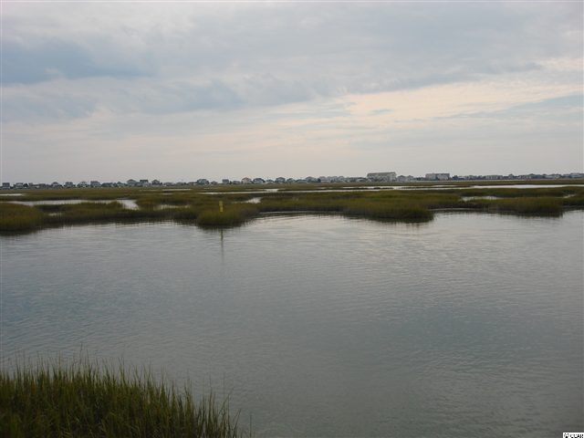Lot 1 Flagg Street Murrells Inlet, SC 29576 - Photo 7 of 9