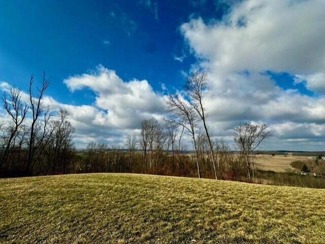 6778 Clearport Road Southwest Lancaster, OH 43130 - Photo 65 of 78 thumbnail_6778 Clearport- land pictures