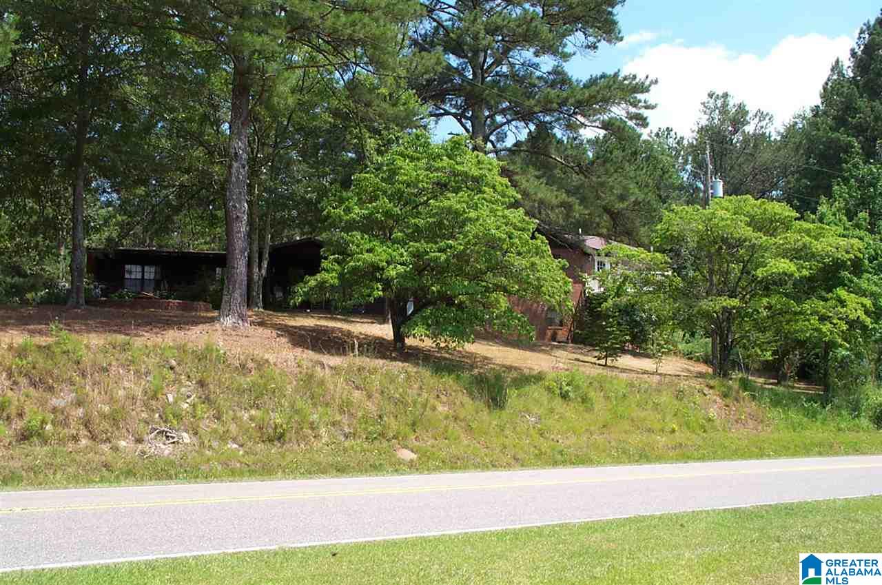 3371 County Road 3 Delta, AL 36258 - Photo 5 of 27