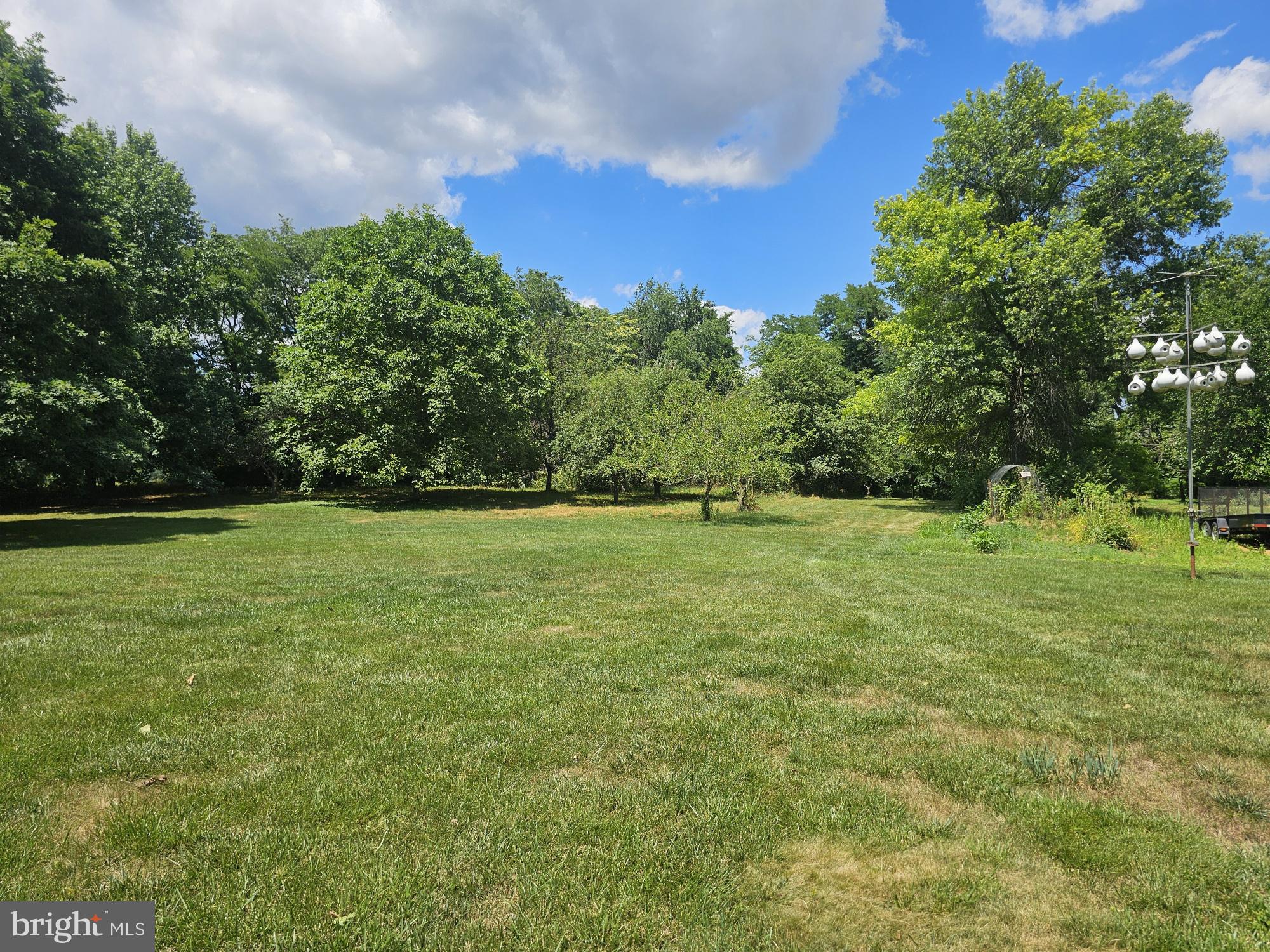 13558 Barnhart Road Clear Spring, MD 21722 - Photo 17 of 105 Apple trees