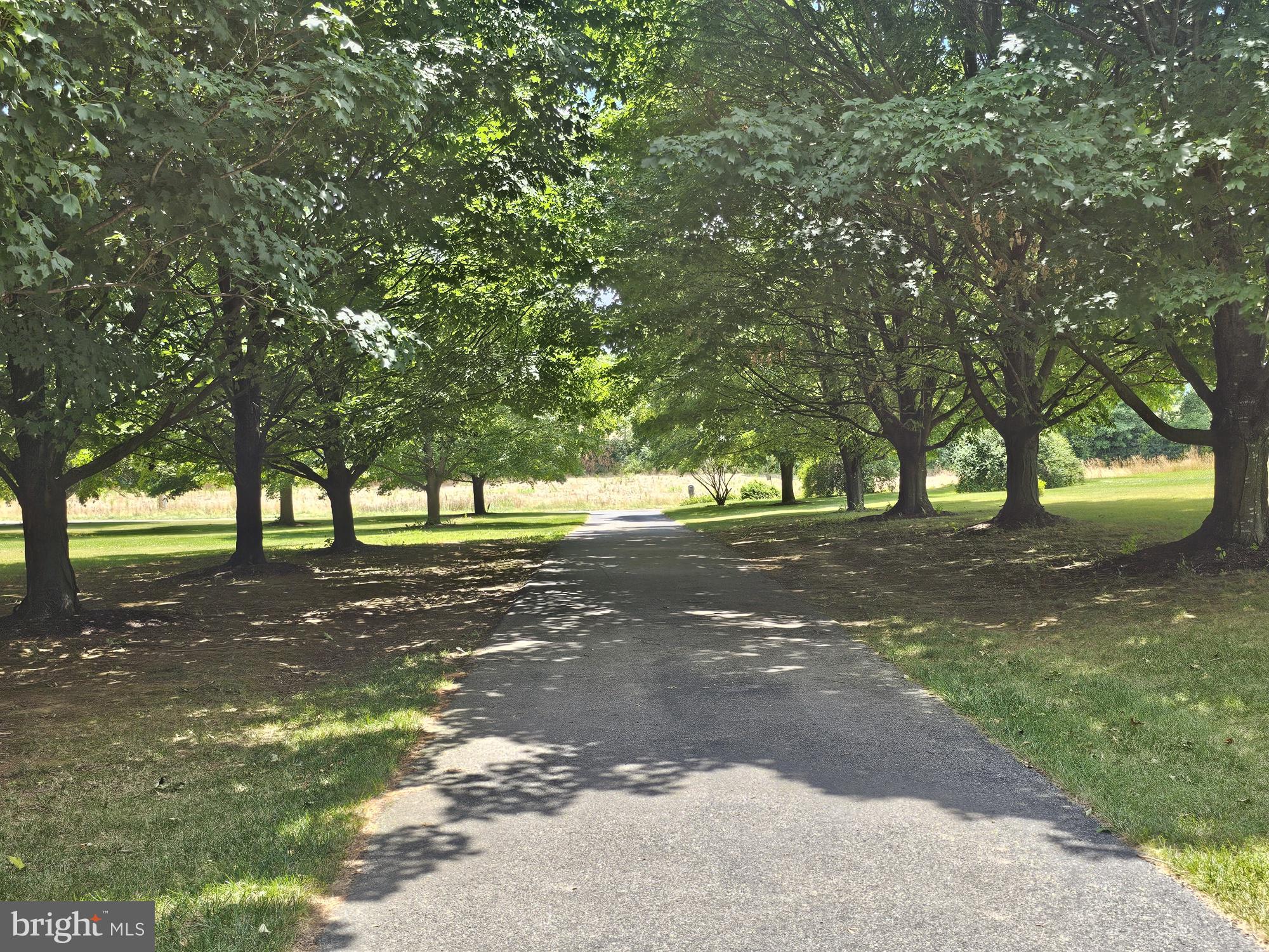 13558 Barnhart Road Clear Spring, MD 21722 - Photo 9 of 105 Tree lined driveway