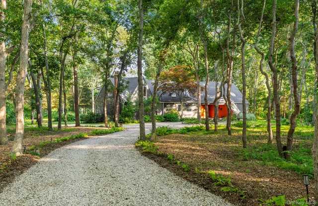 a view of a park with large trees