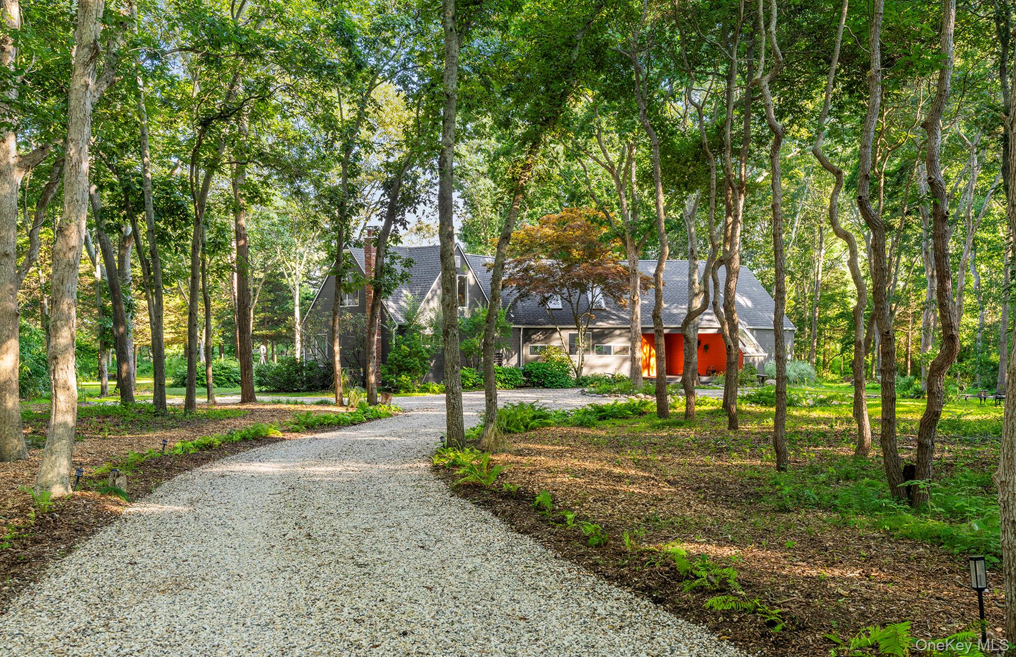 a view of a park with large trees