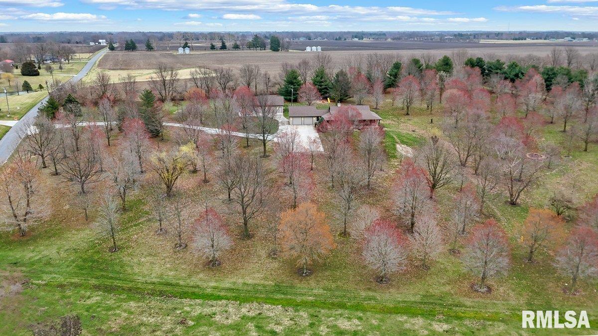 1790 Covered Bridge Road Chatham, IL 62536 - Photo 14 of 58