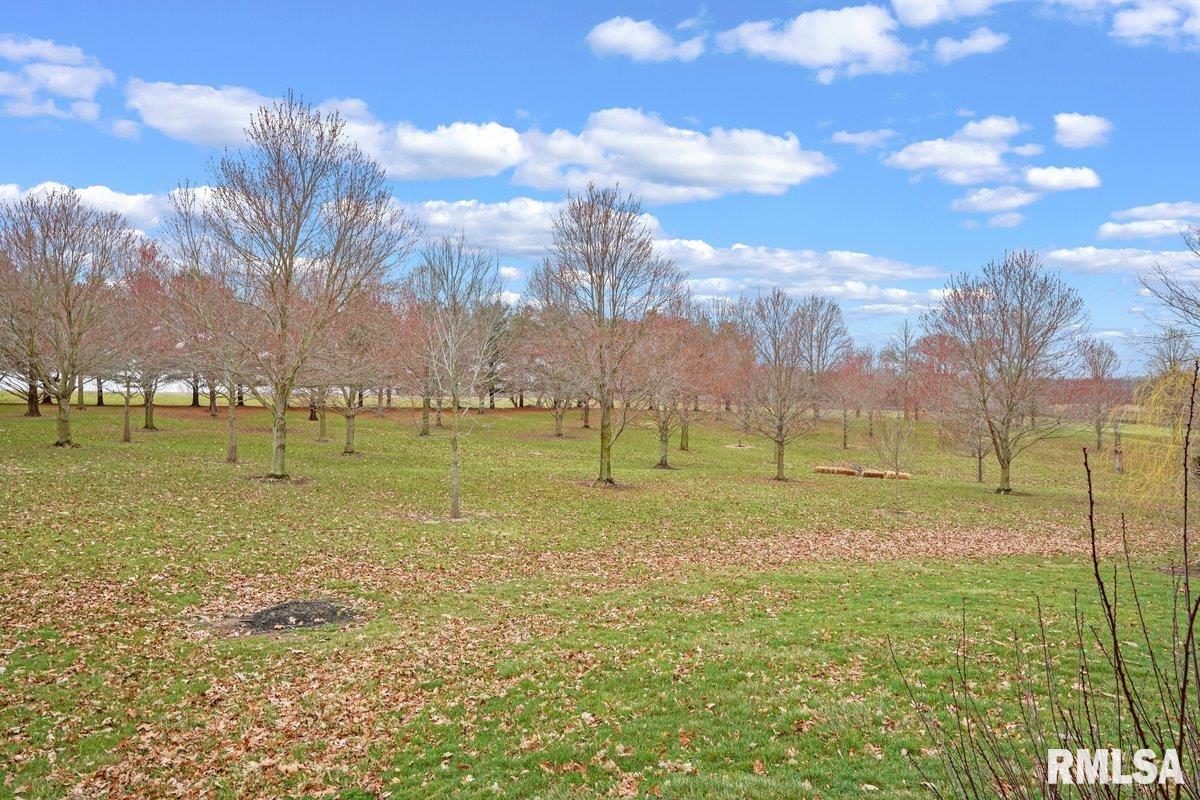 1790 Covered Bridge Road Chatham, IL 62536 - Photo 50 of 58