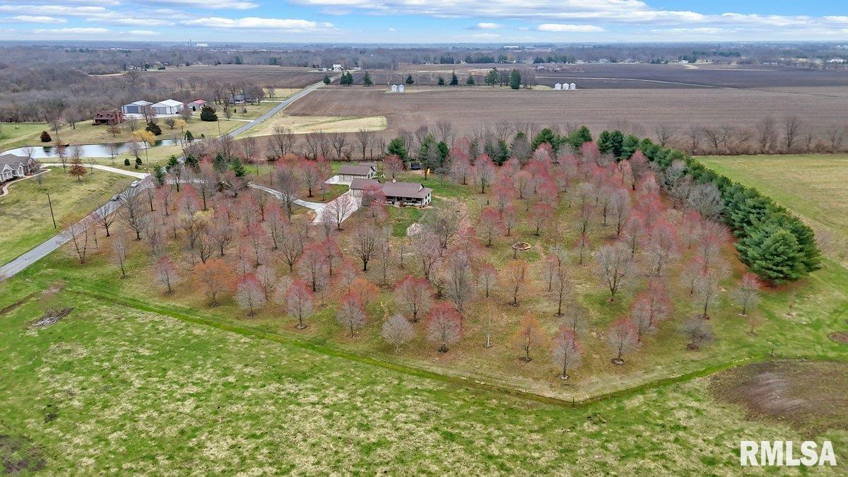 1790 Covered Bridge Road Chatham, IL 62536 - Photo 8 of 58