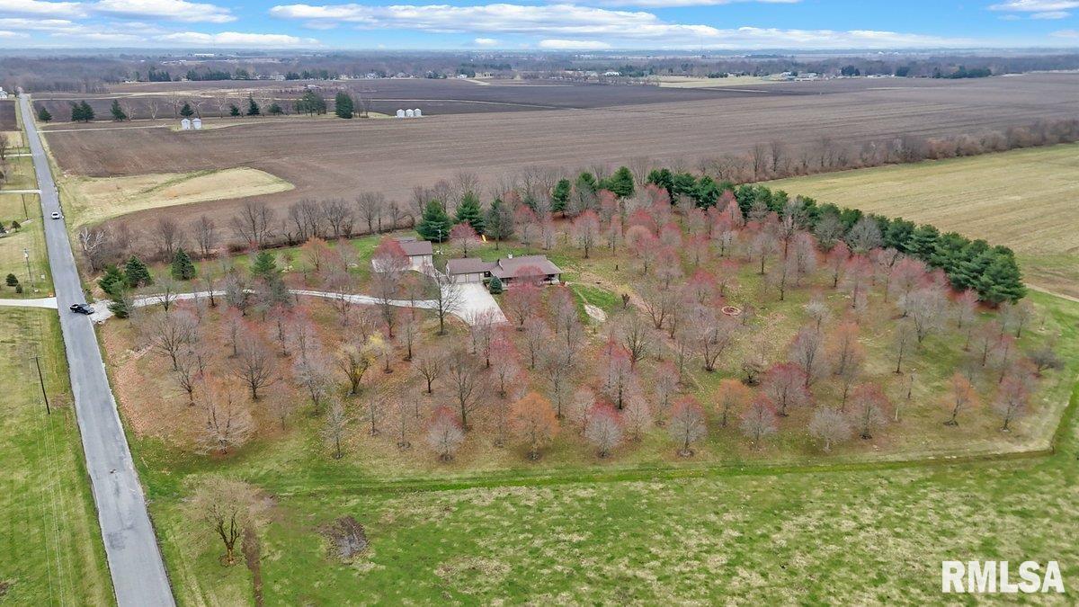 1790 Covered Bridge Road Chatham, IL 62536 - Photo 9 of 58