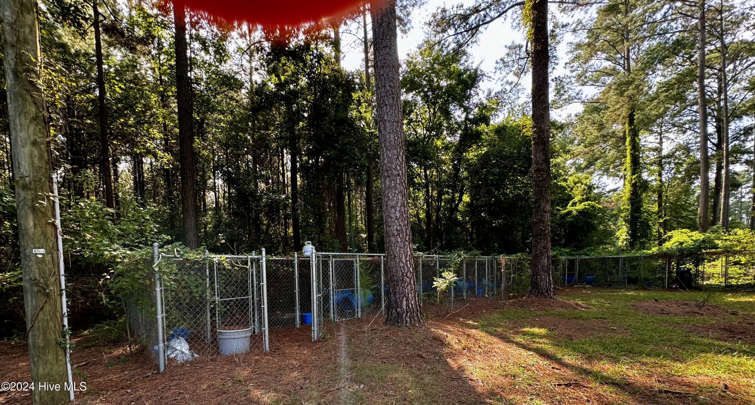 2986 Beargrass Road Stokes, NC 27884 - Photo 20 of 22 11 dog kennels