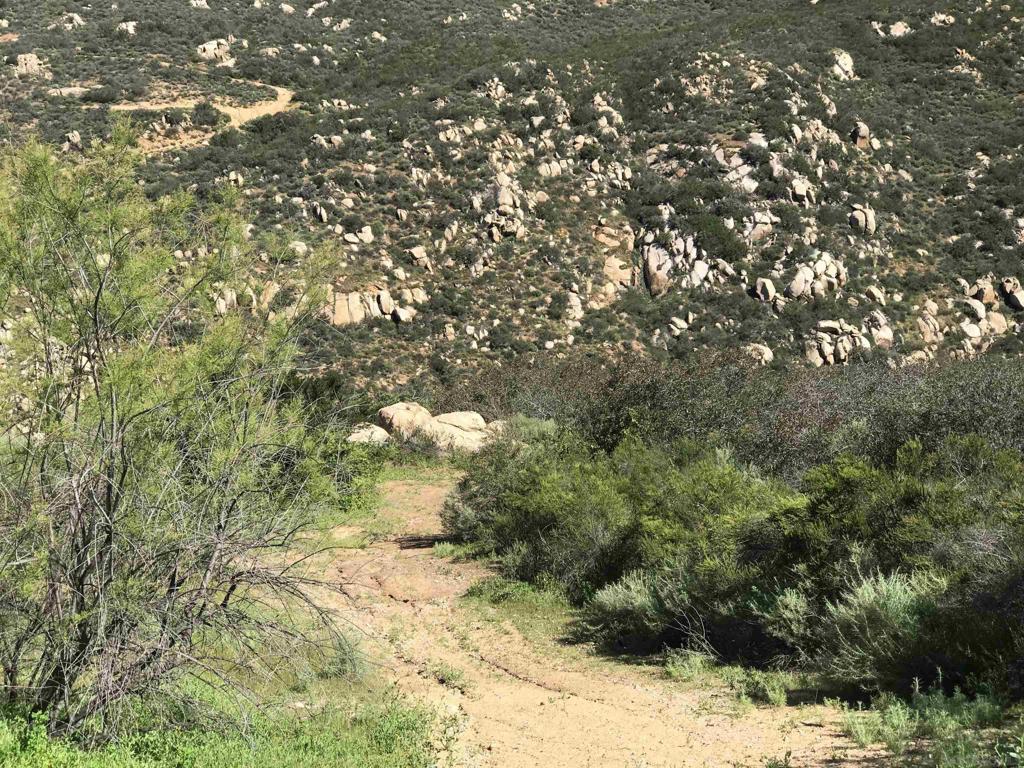 0 Skyridge Road Poway, CA 92064 - Photo 4 of 5 a view of a tree in a yard