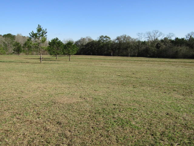 3090 Jack Road Laurel Hill, FL 32567 - Photo 5 of 18 Land