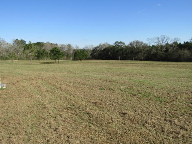 3090 Jack Road Laurel Hill, FL 32567 - Photo 6 of 18 Land