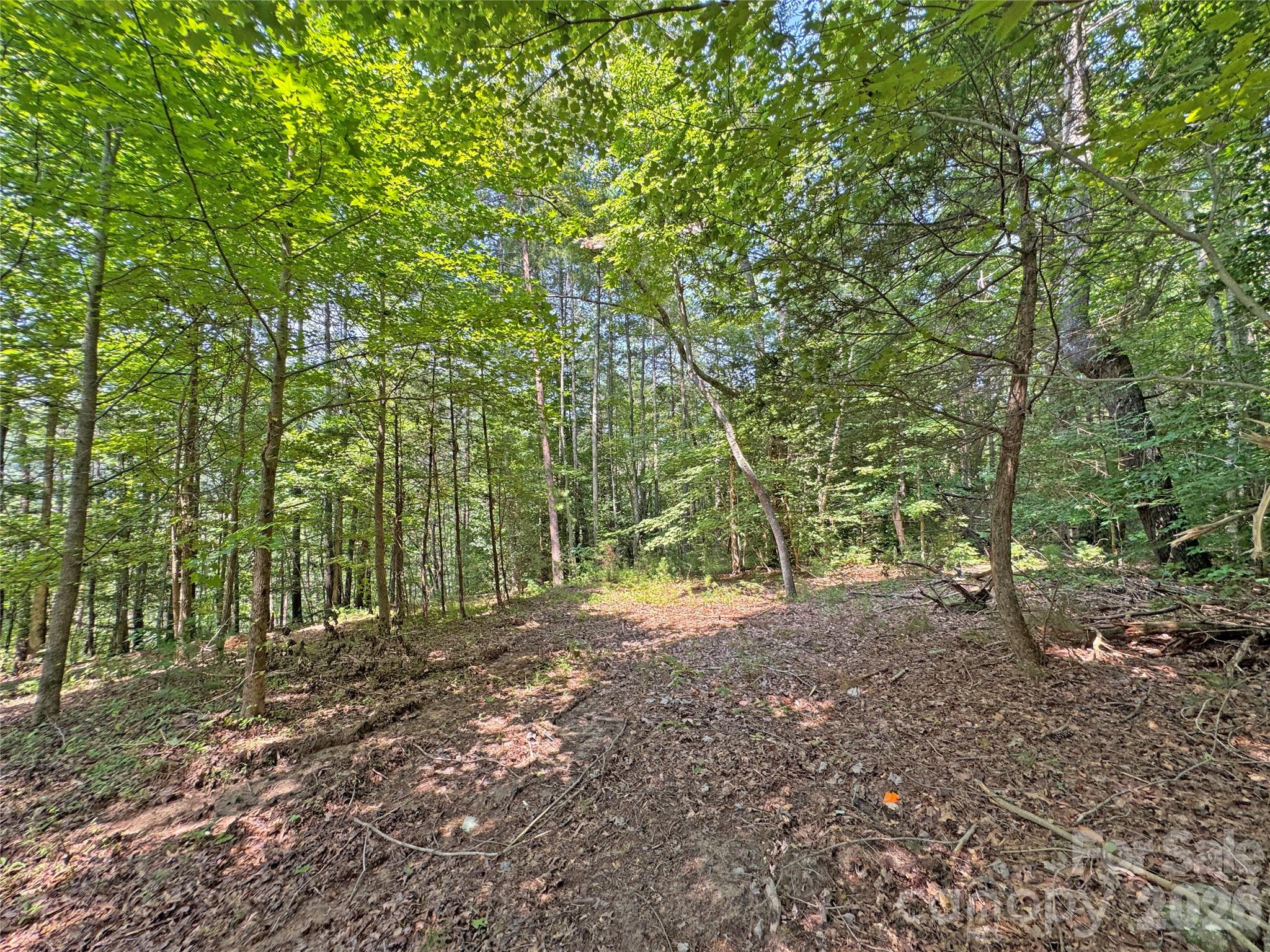 6080 River Road Hot Springs, NC 28743 - Photo 16 of 24 Gallery Image 16