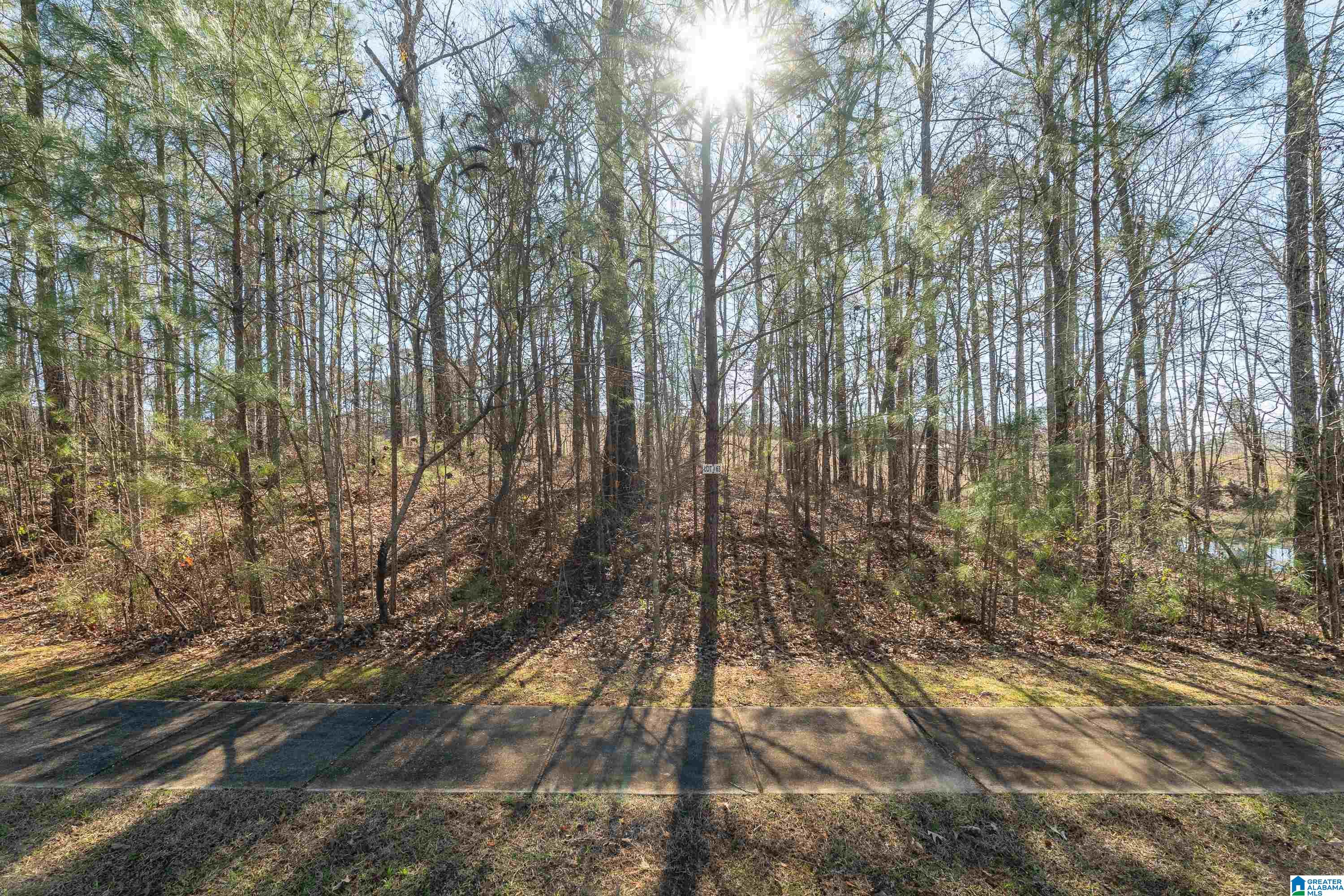 100 Coves Drive Vincent, AL 35178 - Photo 7 of 21