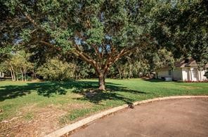 4 Stoney Brook Bay City, TX 77414 - Photo 2 of 9 a garden with trees in front of it