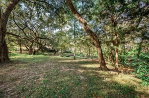 4 Stoney Brook Bay City, TX 77414 - Photo 6 of 9 a view of a yard with a tree