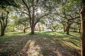 4 Stoney Brook Bay City, TX 77414 - Photo 7 of 9 a view of outdoor space and trees