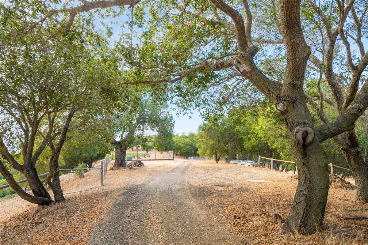 14411 Shannon Road Los Gatos, CA 95032 - Photo 76 of 109