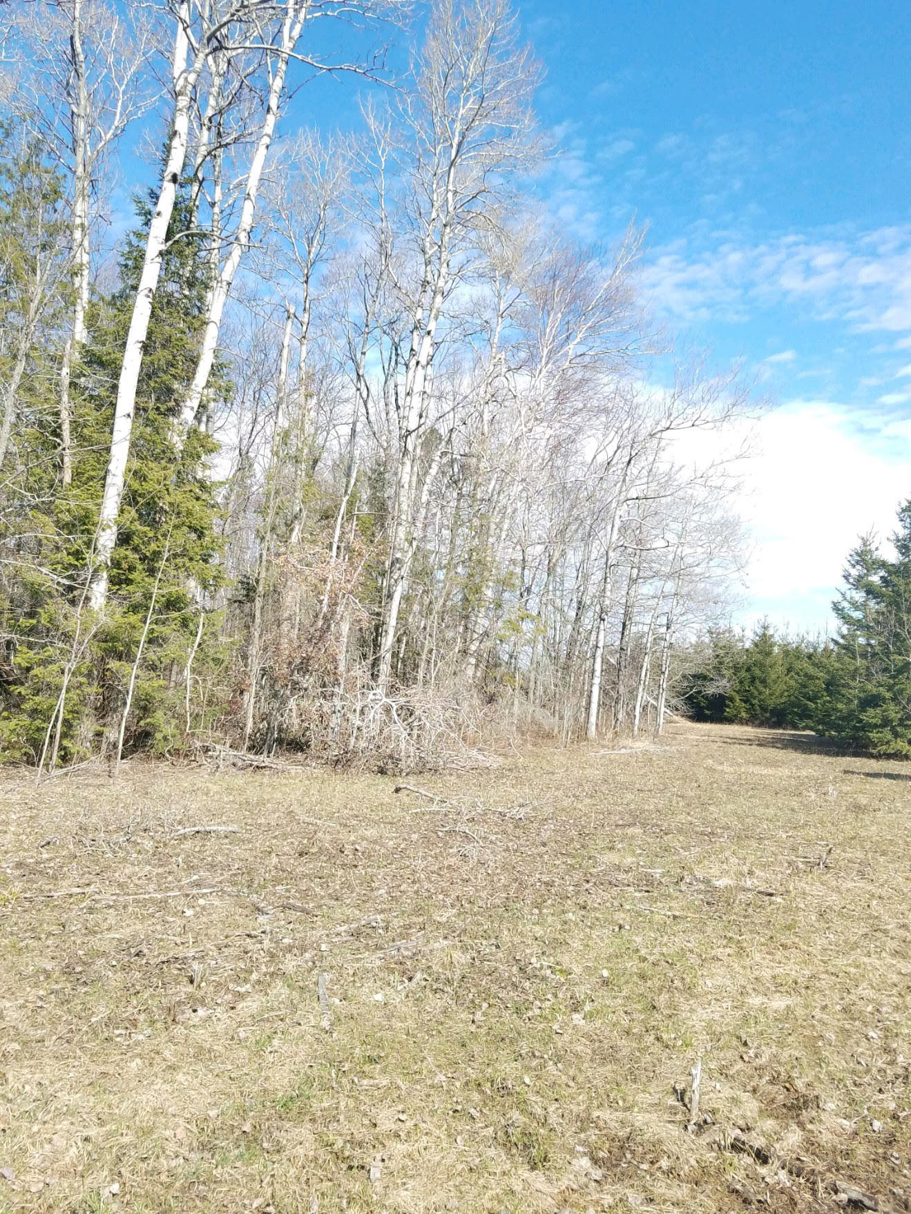 43-acres South Ridge Road Sault Ste. Marie, MI 49783 - Photo 19 of 24 Gallery Image 19