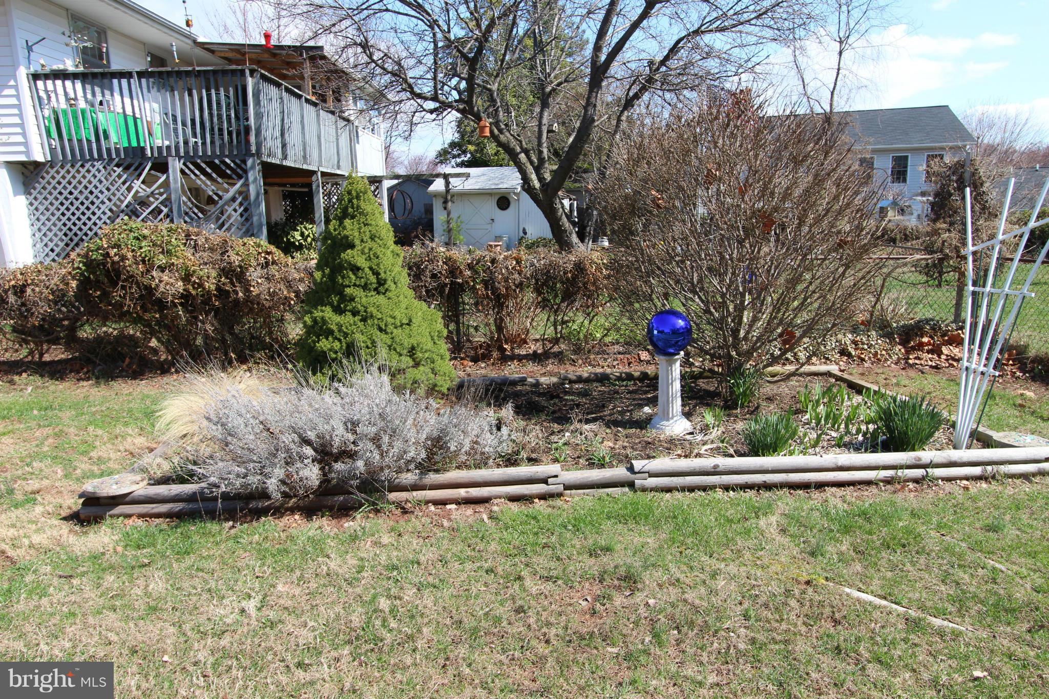 1010 South Hoga Road Sterling, VA 20164 - Photo 8 of 20 a backyard of a house with lots of green space