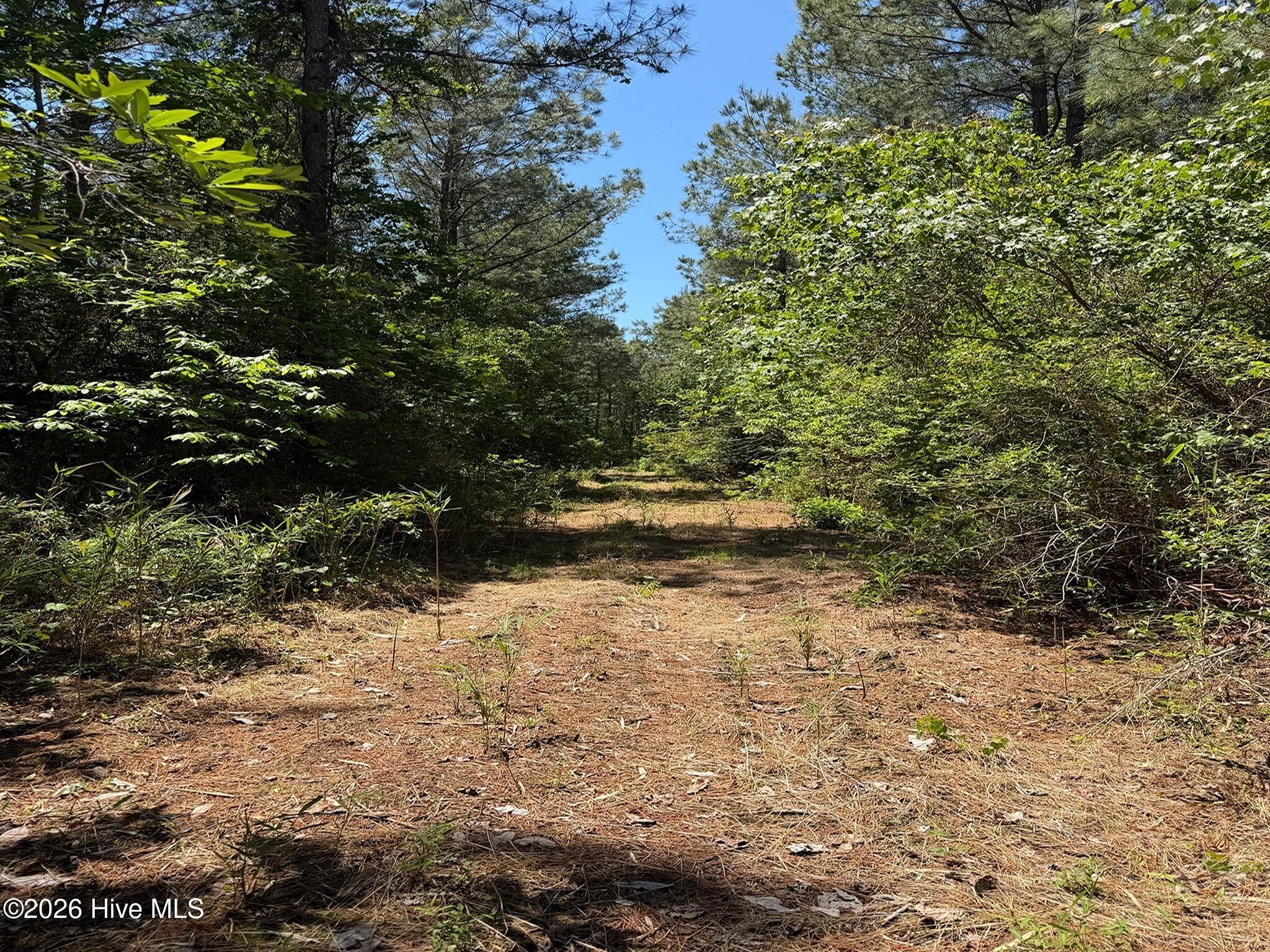 0 Tartt's Mill Road Wilson, NC 27893 - Photo 6 of 23 6