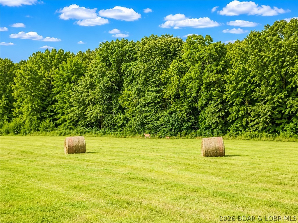 16390 Harris Road Jamestown, MO 65046 - Photo 7 of 9