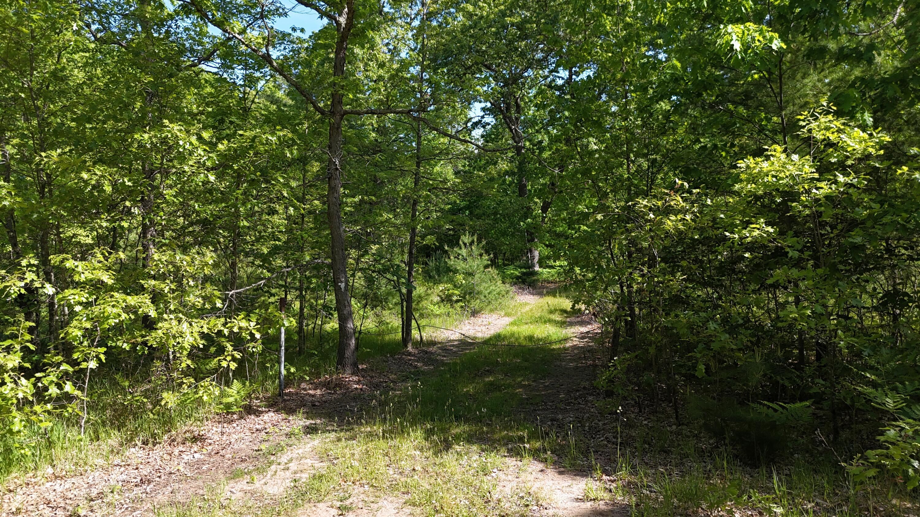 7 West Mile Road Irons, MI 49644 - Photo 6 of 49 DJI_20260604101945_0261_D
