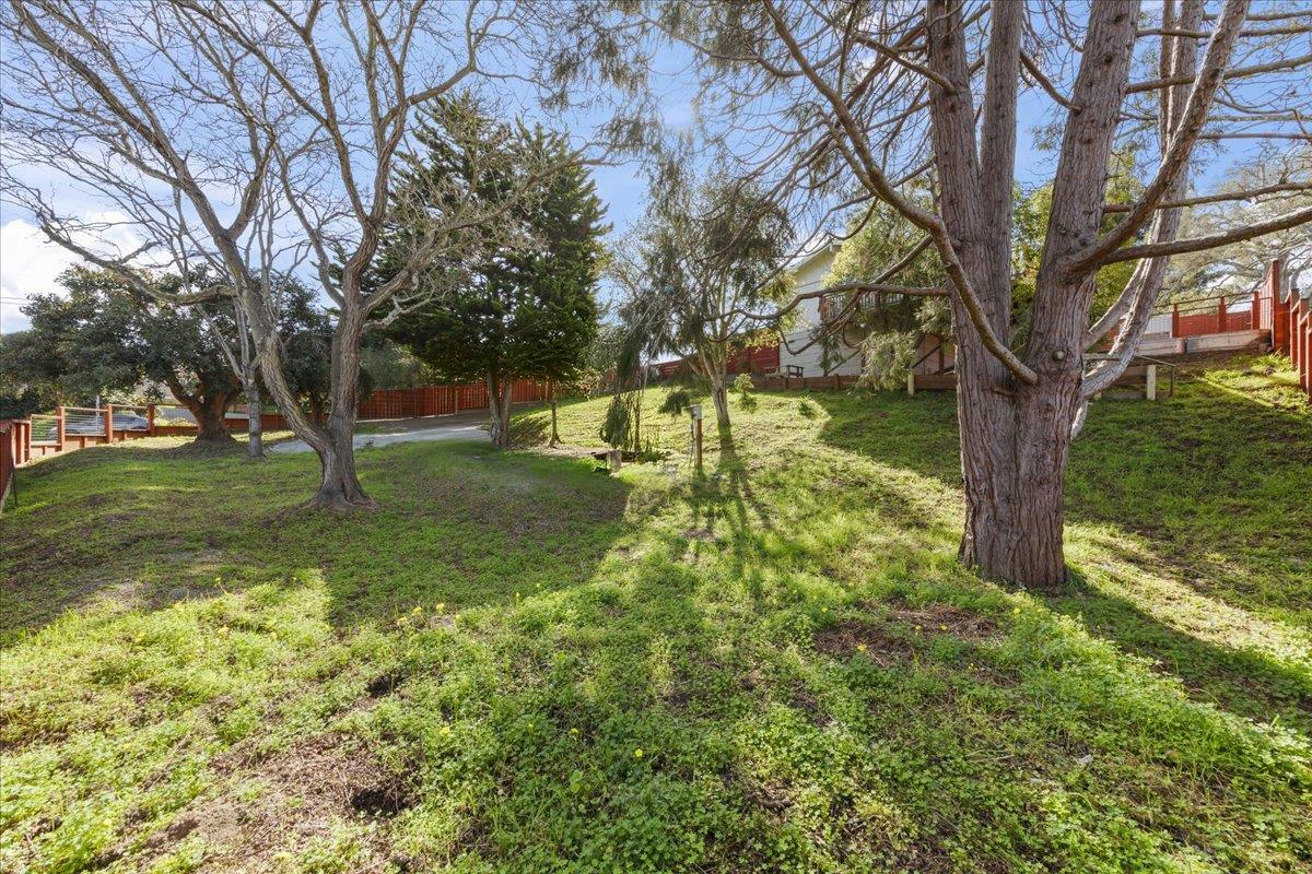2715 Lafayette Street Soquel, CA 95073 - Photo 49 of 53 a view of yard with trees