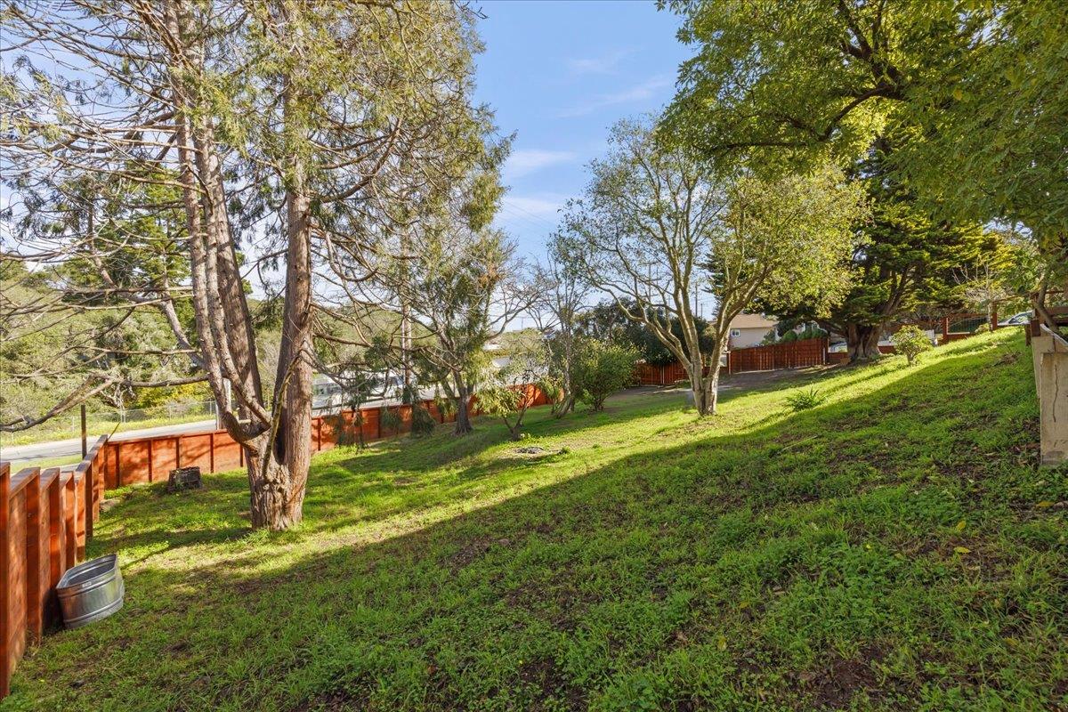 2715 Lafayette Street Soquel, CA 95073 - Photo 50 of 53 a view of a park with large trees
