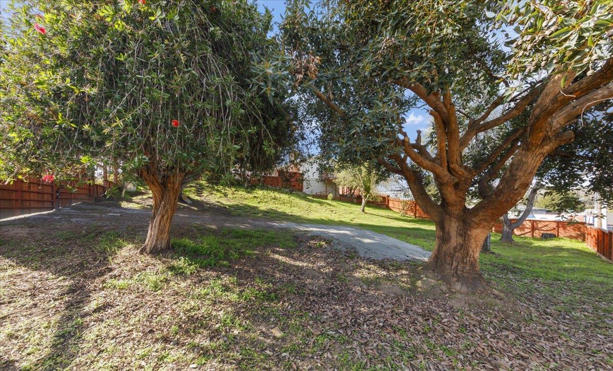 2715 Lafayette Street Soquel, CA 95073 - Photo 52 of 69