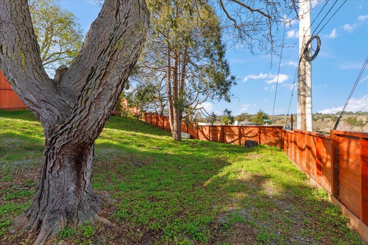 2715 Lafayette Street Soquel, CA 95073 - Photo 53 of 69