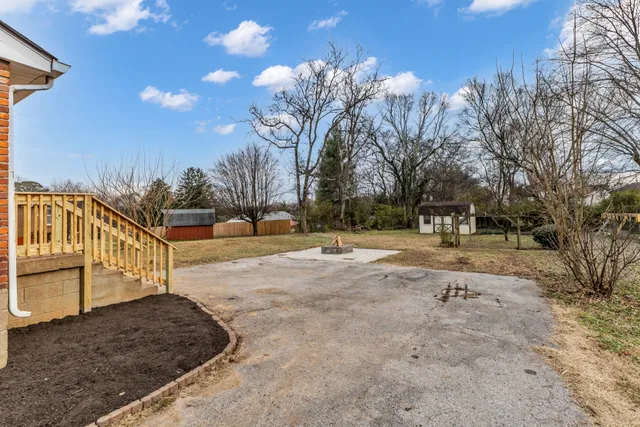a view of a yard with plants and trees