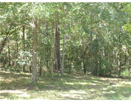 659 Stump Texas Road Wiggins, MS 39577 - Photo 4 of 8 Additional Photo