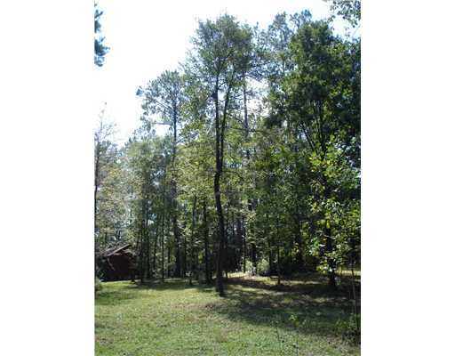 659 Stump Texas Road Wiggins, MS 39577 - Photo 6 of 8 Additional Photo