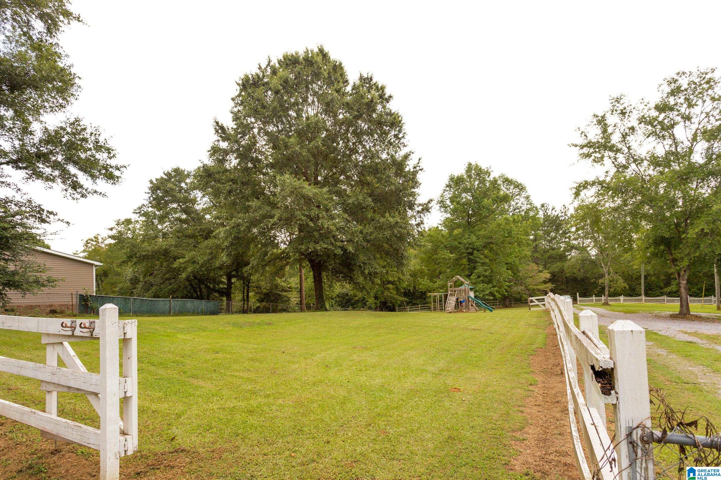 125 Homebrew Knob Ragland, AL 35131 - Photo 42 of 42