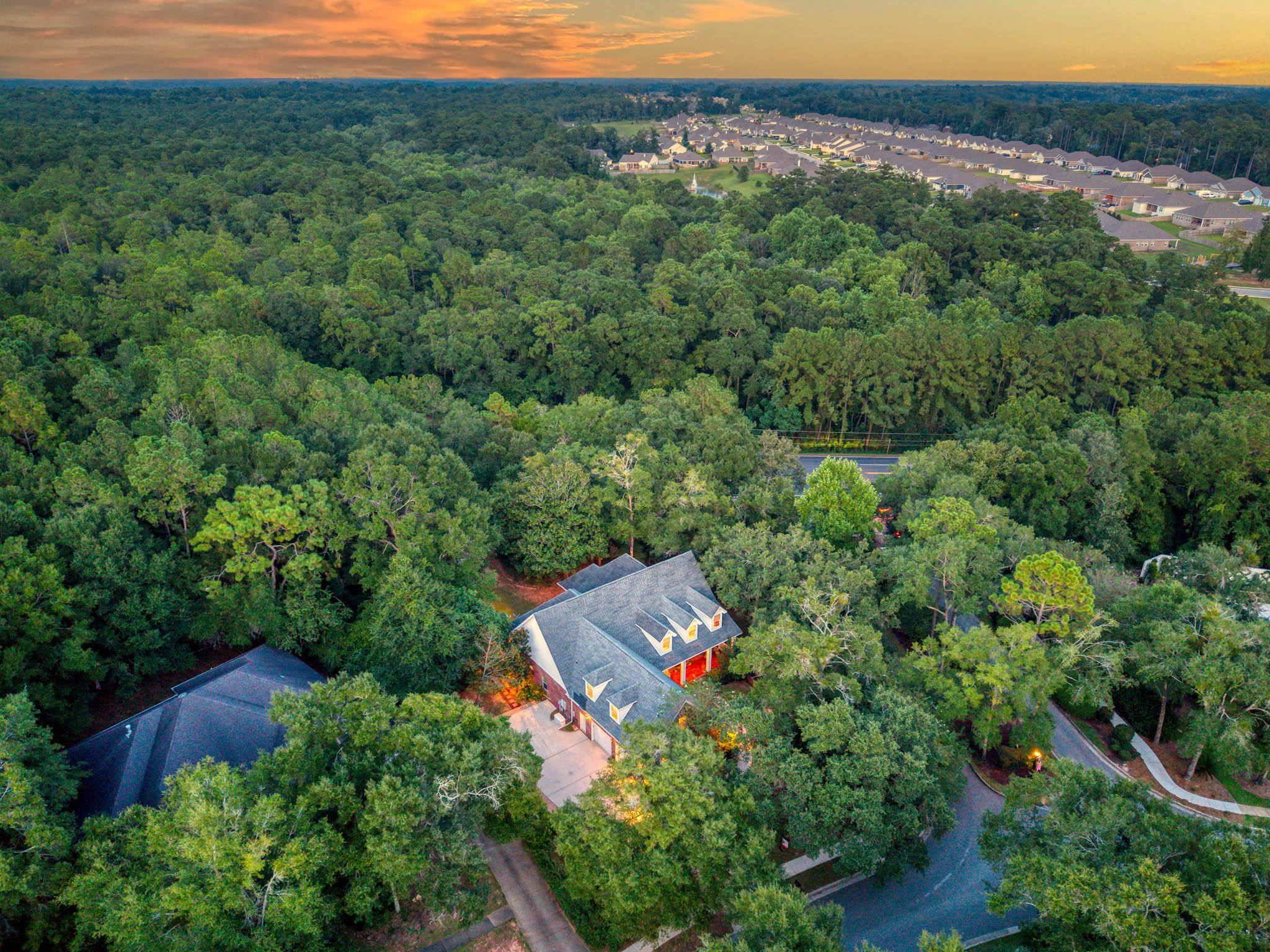 8955 North Lamhatty Lane Daphne, AL 36526 - Photo 69 of 73 Aerial View